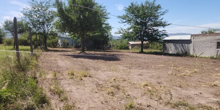 WhatsApp Image 2025-11-22 at 13.01.29 (1)