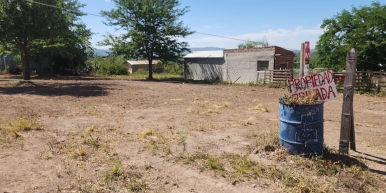 WhatsApp Image 2025-11-22 at 13.01.29