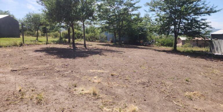 WhatsApp Image 2025-11-22 at 13.01.30 (1)