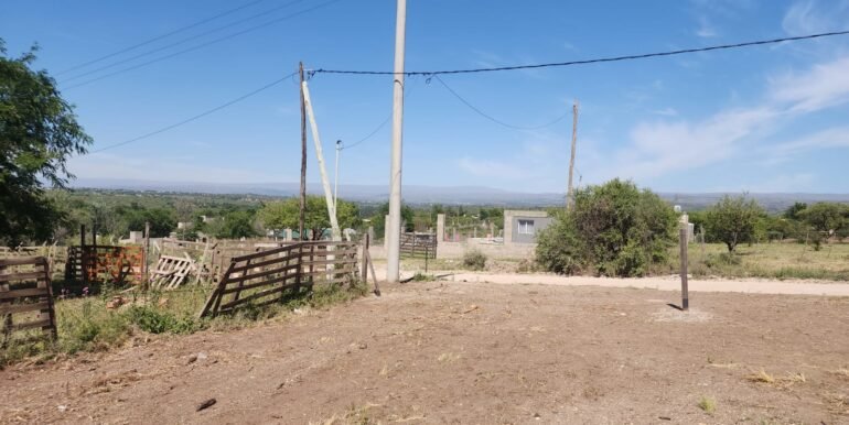 WhatsApp Image 2025-11-22 at 13.01.30 (3)