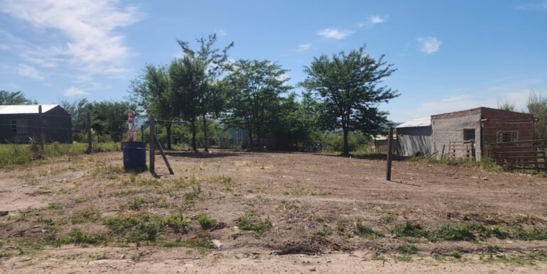 WhatsApp Image 2025-11-22 at 13.01.31 (4)