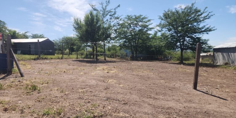 WhatsApp Image 2025-11-22 at 13.01.31