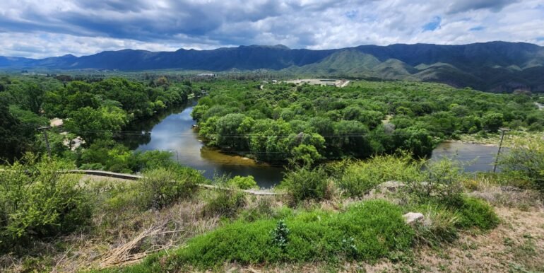 WhatsApp Image 2025-11-25 at 10.33.35