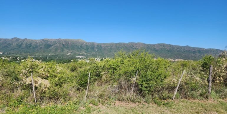 WhatsApp Image 2025-12-05 at 08.59.37 (1)