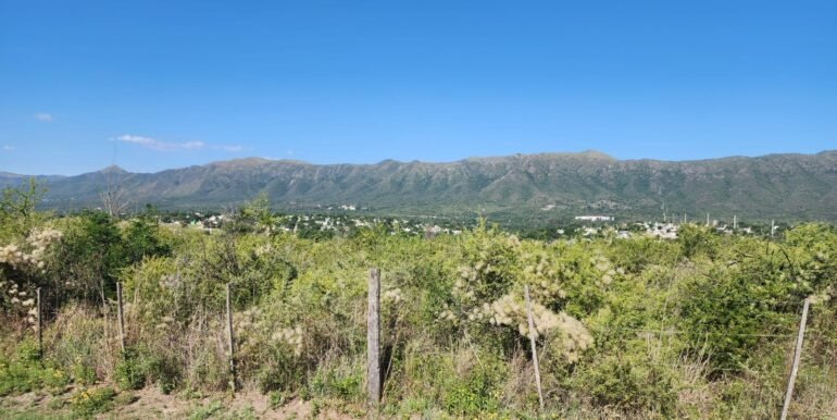 WhatsApp Image 2025-12-05 at 08.59.37 (2)