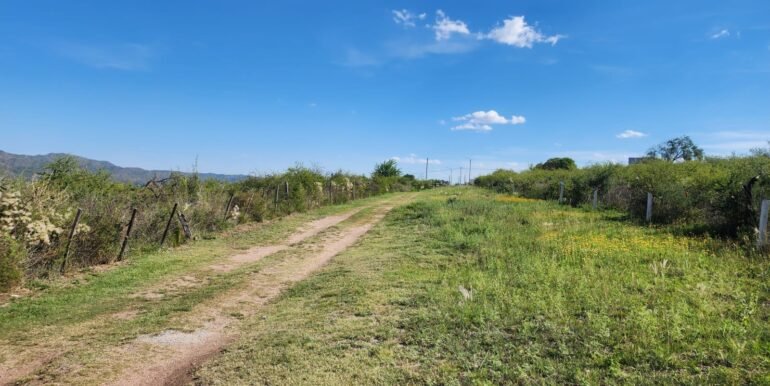 WhatsApp Image 2025-12-05 at 08.59.38