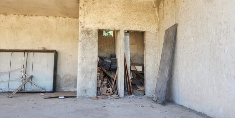 WhatsApp Image 2025-12-10 at 12.51.39 (1)