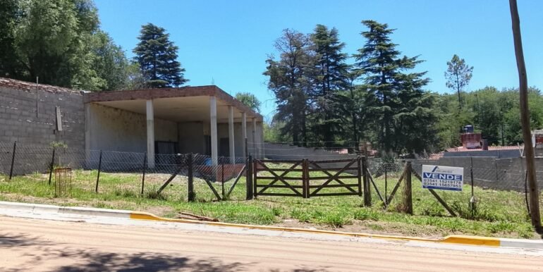 WhatsApp Image 2025-12-11 at 11.47.21 (1)