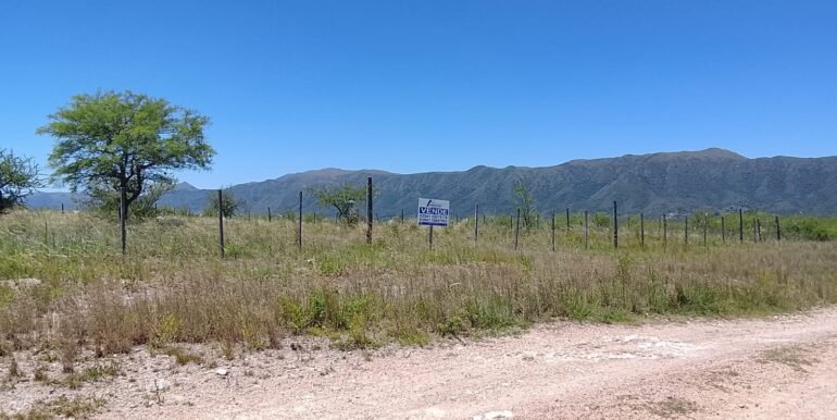 WhatsApp Image 2025-12-11 at 11.47.22