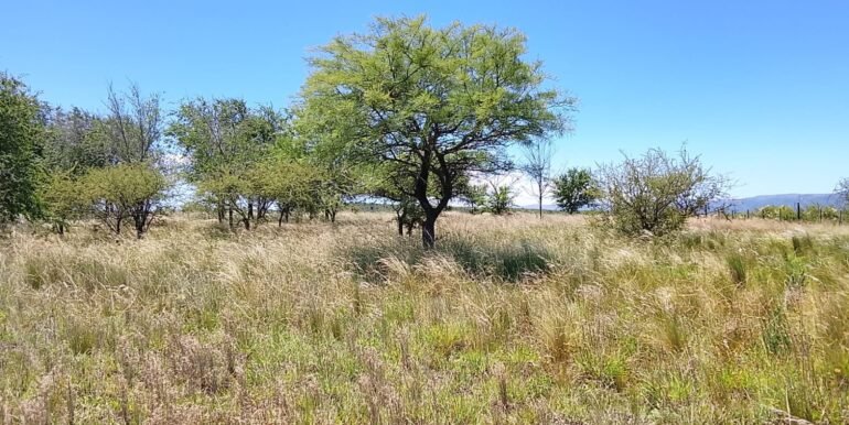 WhatsApp Image 2025-12-11 at 11.47.25 (1)