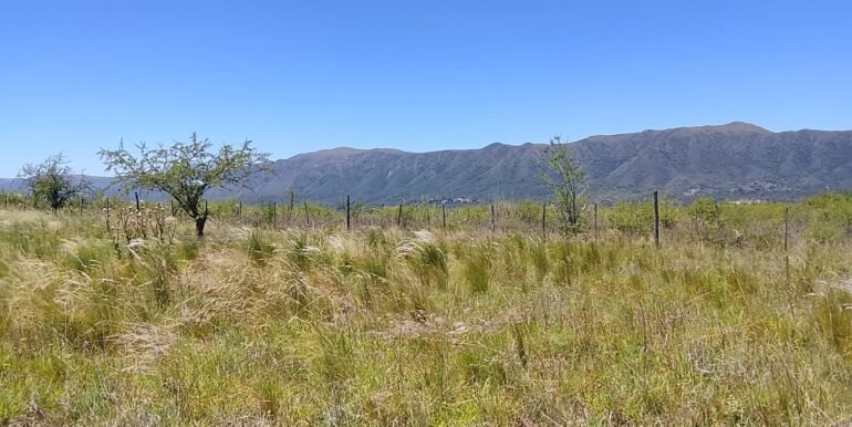 WhatsApp Image 2025-12-11 at 11.47.25 (2)