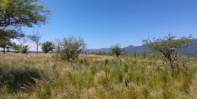 WhatsApp Image 2025-12-11 at 11.47.26 (2)