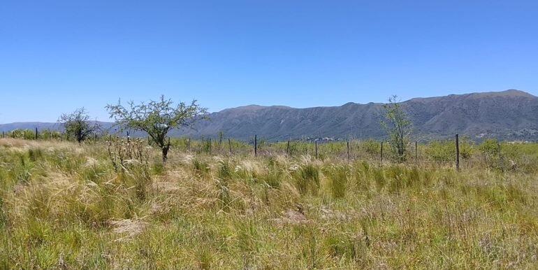 WhatsApp Image 2025-12-11 at 11.47.26