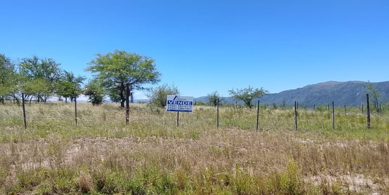 WhatsApp Image 2025-12-11 at 11.47.27 (2)