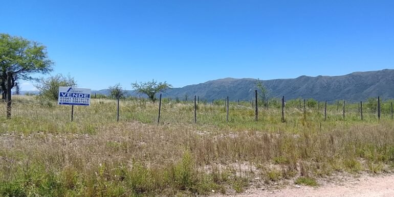 WhatsApp Image 2025-12-11 at 11.47.27 (3)