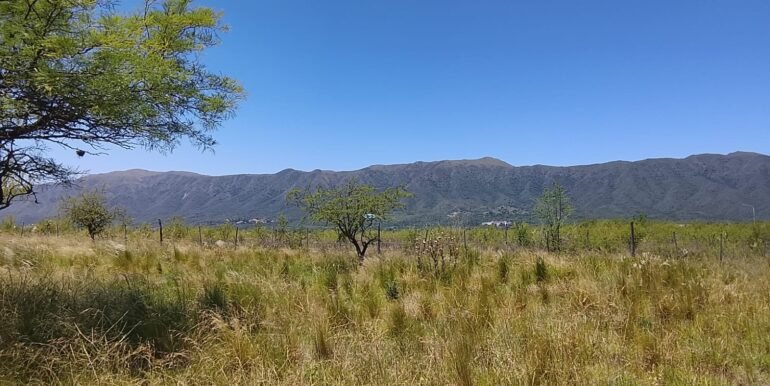 WhatsApp Image 2025-12-11 at 11.47.27 (4)