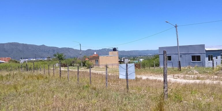 WhatsApp Image 2025-12-11 at 11.47.27