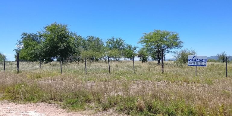 WhatsApp Image 2025-12-11 at 11.47.28