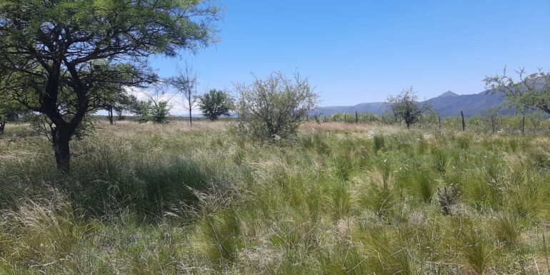 WhatsApp Image 2025-12-11 at 12.15.40 (1)