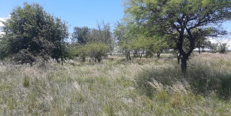 WhatsApp Image 2025-12-11 at 12.15.40