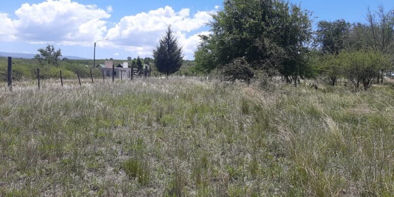 WhatsApp Image 2025-12-11 at 12.15.41 (1)