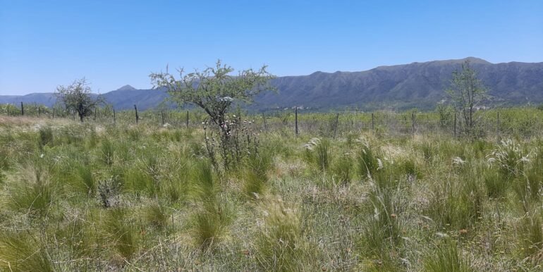 WhatsApp Image 2025-12-11 at 12.15.41