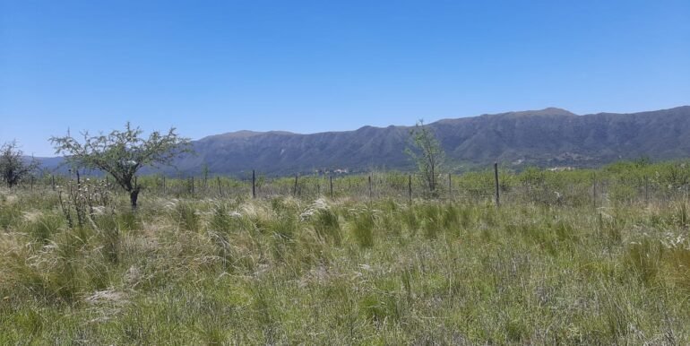 WhatsApp Image 2025-12-11 at 12.15.42