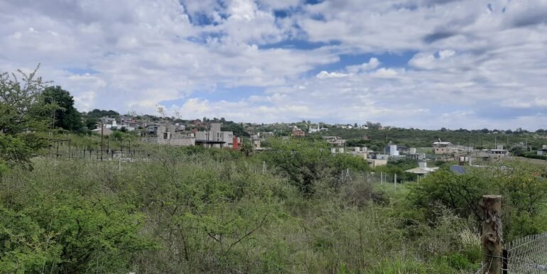 WhatsApp Image 2025-12-12 at 10.57.21 (2)