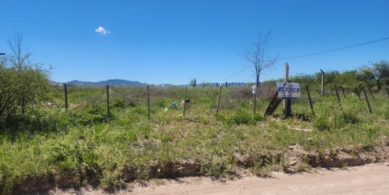 WhatsApp Image 2025-12-13 at 12.00.58