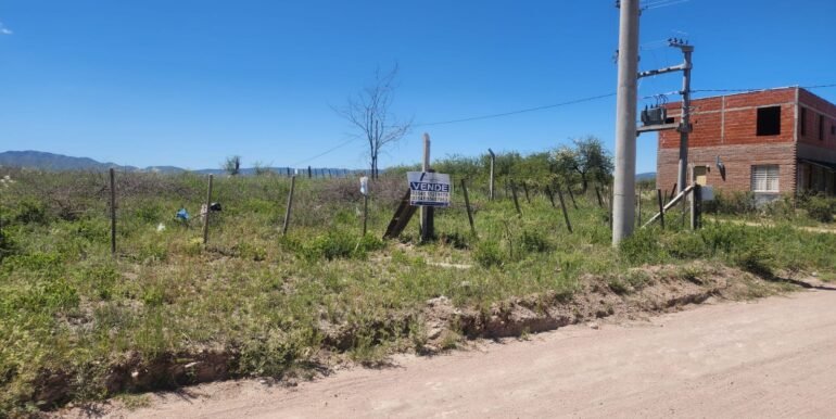 WhatsApp Image 2025-12-13 at 12.01.00