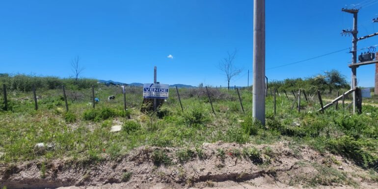 WhatsApp Image 2025-12-13 at 12.01.04 (2)