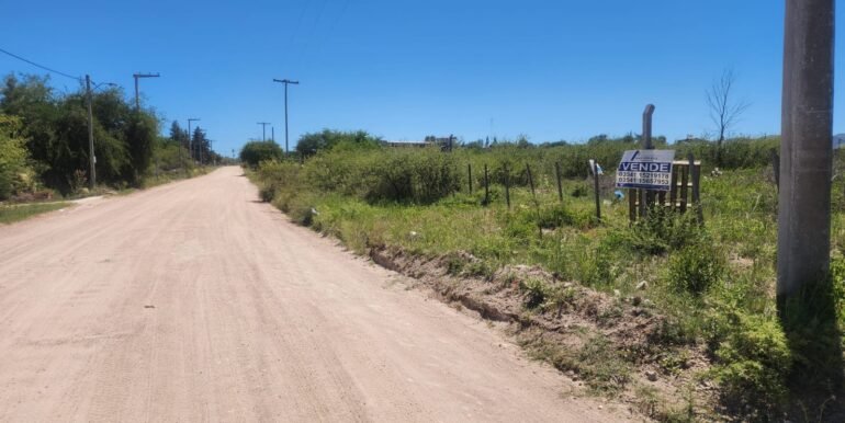 WhatsApp Image 2025-12-13 at 12.01.05 (1)