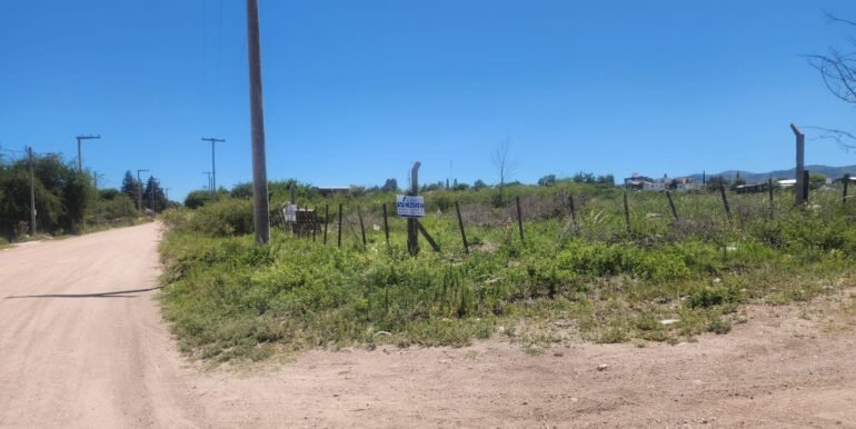 WhatsApp Image 2025-12-13 at 12.01.05