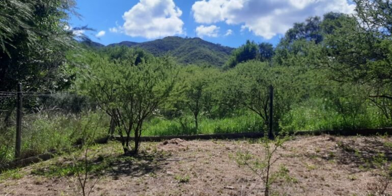 WhatsApp Image 2025-12-24 at 20.46.17