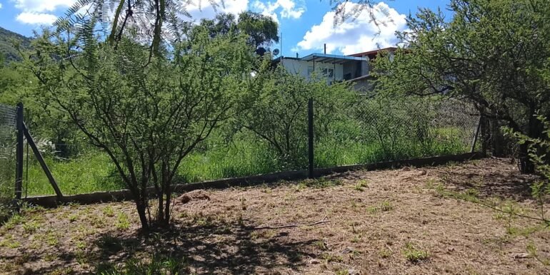 WhatsApp Image 2025-12-24 at 20.49.13 (1)