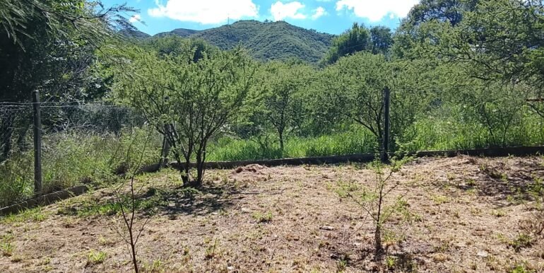 WhatsApp Image 2025-12-24 at 20.49.13