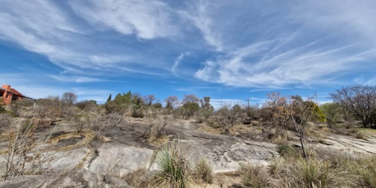 WhatsApp Image 2026-01-07 at 11.39.16 (2)