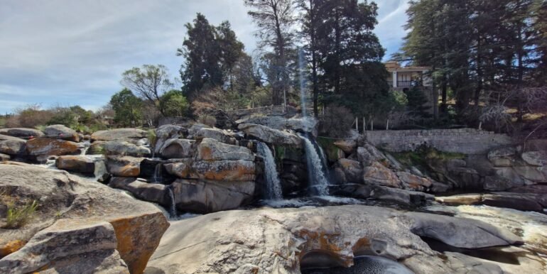 WhatsApp Image 2026-01-07 at 11.39.16