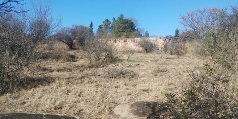 WhatsApp Image 2026-01-07 at 11.39.20