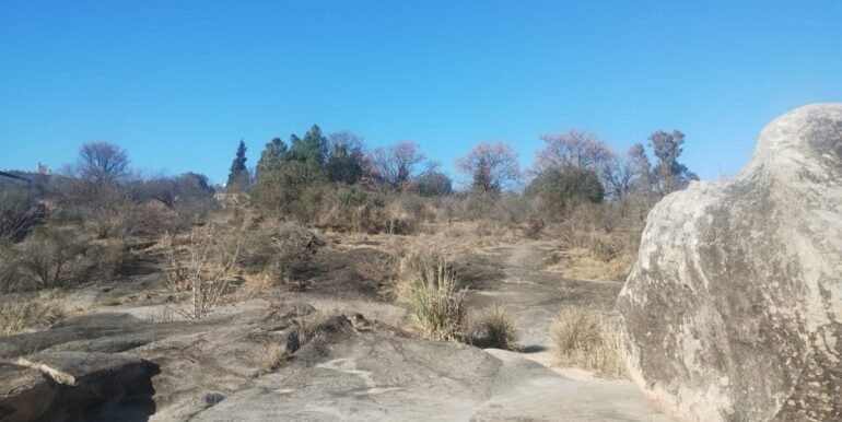 WhatsApp Image 2026-01-07 at 11.39.21 (1)