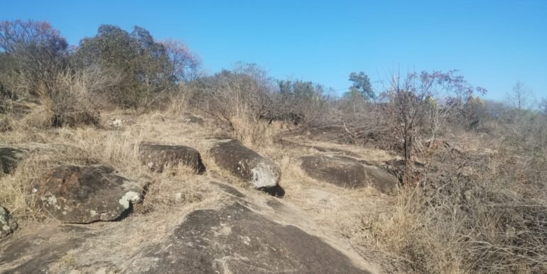 WhatsApp Image 2026-01-07 at 11.39.22