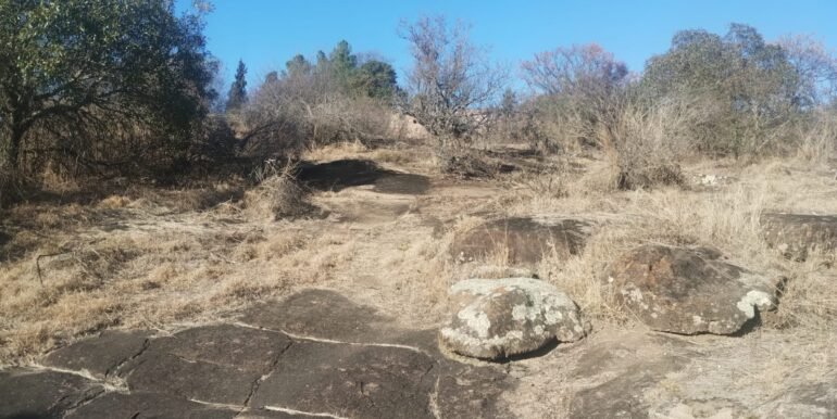 WhatsApp Image 2026-01-07 at 11.39.23