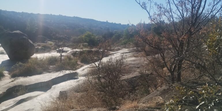 WhatsApp Image 2026-01-07 at 11.39.25