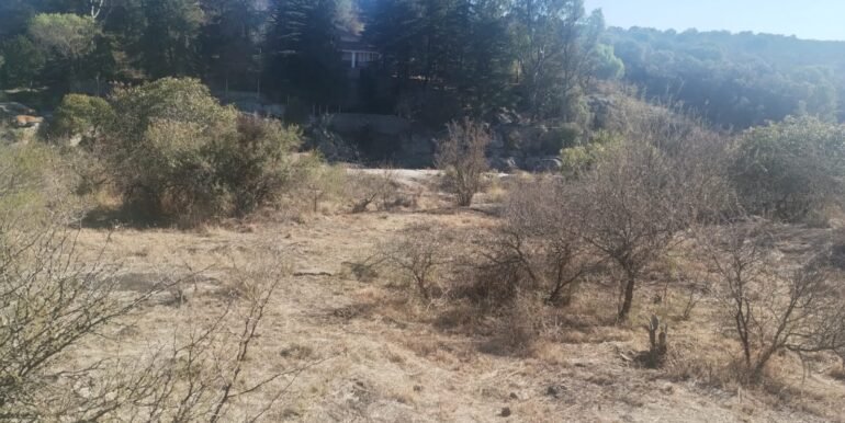 WhatsApp Image 2026-01-07 at 11.39.28 (3)