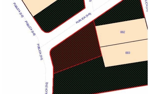 WhatsApp Image 2026-01-14 at 17.05.31