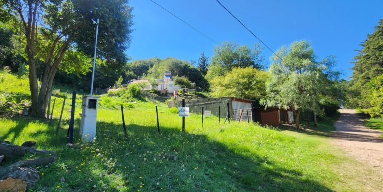 WhatsApp Image 2026-01-19 at 15.24.21