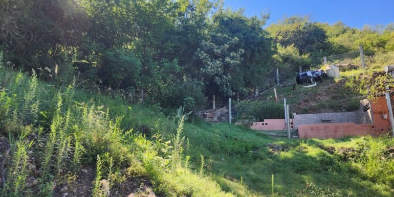 WhatsApp Image 2026-01-19 at 15.24.28