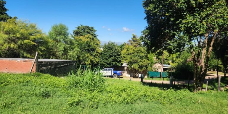 WhatsApp Image 2026-01-19 at 15.24.29