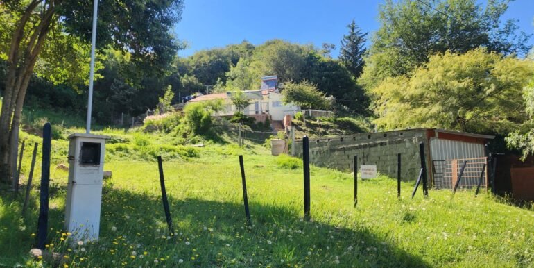 WhatsApp Image 2026-01-19 at 15.24.30 (1)