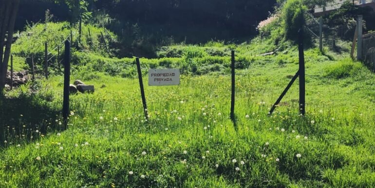 WhatsApp Image 2026-01-19 at 15.24.31